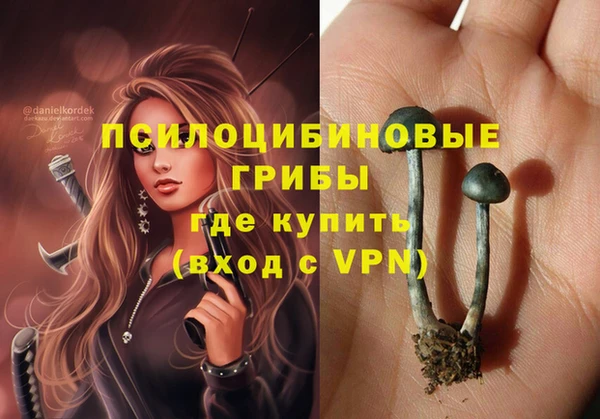 MESCALINE Аркадак