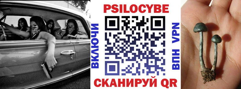 blacksprut вход  Сураж  Псилоцибиновые грибы MAGIC MUSHROOMS  где можно купить наркотик 