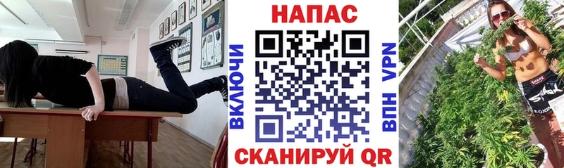 Бошки Шишки план  дарк нет официальный сайт  Сураж 